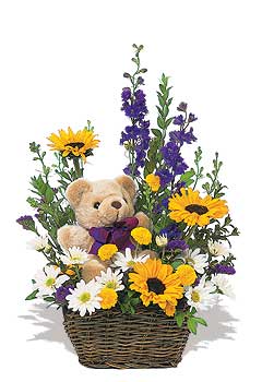 sepet kir �i�egi  pelus ayicik   K�z�lay �i�ek ma�azas� , �i�ek�i adresleri 