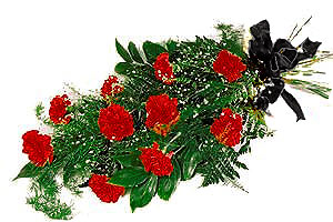 12 adet kirmizi karanfil   K�z�lay uluslararas� �i�ek g�nderme 