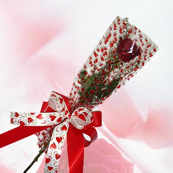 tek bir adet g�l seffafta   K�z�lay anneler g�n� �i�ek yolla 