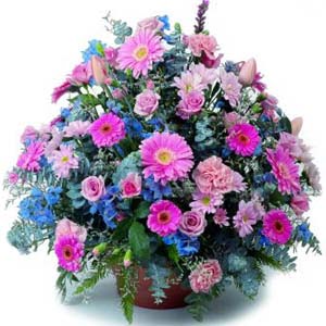karisik mevsim kir �i�ekleri  K�z�lay �i�ek�iler 