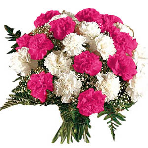 13 adet renkli karanfil buket   K�z�lay �i�ek�iler 