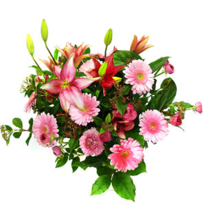 lilyum ve gerbera �i�ekleri - �i�ek se�imi -  K�z�lay �i�ek sipari�i vermek 