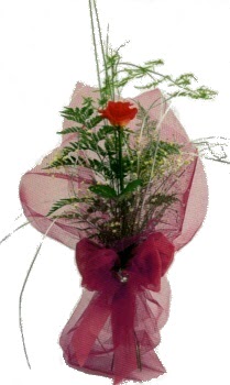 tek kirmizi g�lden buket  K�z�lay �i�ek ma�azas� , �i�ek�i adresleri 