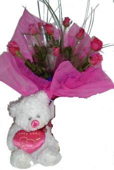 dokuz adet g�l  ve ayicik   K�z�lay �i�ek sipari�i vermek 