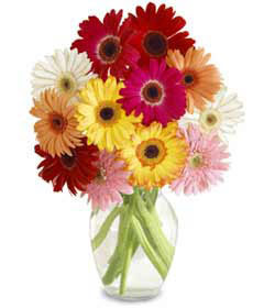  Ankara K�z�lay �i�ek yolla , �i�ek g�nder , �i�ek�i   cam vazo i�erisinde karisik gerbera �i�ekleri