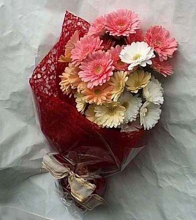 19 adet karisik gerbera buketi  Ankara K�z�lay yurti�i ve yurtd��� �i�ek sipari�i 