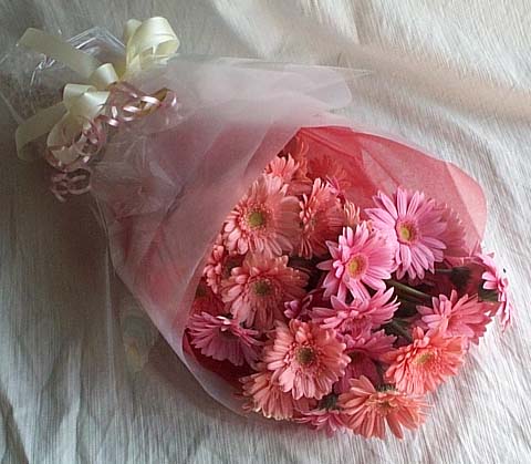 17 adet gerbera buketi  Ankara K�z�lay yurti�i ve yurtd��� �i�ek sipari�i 