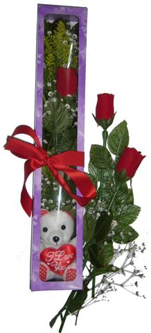  K�z�lay �i�ek ma�azas� , �i�ek�i adresleri  3 adet canli g�l ve oyuncak ayicik
