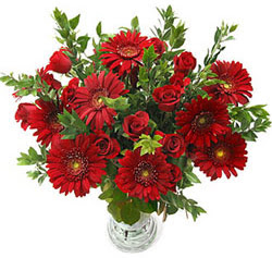 5 adet kirmizi g�l 5 adet gerbera aranjmani  Ankara K�z�lay 14 �ubat sevgililer g�n� �i�ek 