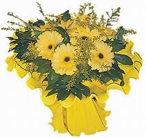  K�z�lay anneler g�n� �i�ek yolla  9 adet sari g�zel gerbera