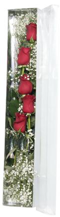  Ankara K�z�lay hediye sevgilime hediye �i�ek   5 adet g�lden kutu g�ller