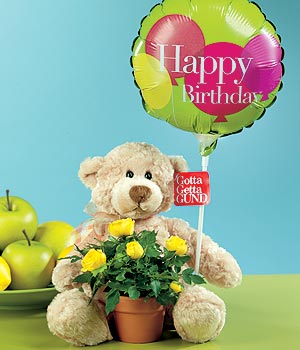  K�z�lay anneler g�n� �i�ek yolla  Ayicik balon ve saksida sari g�ller