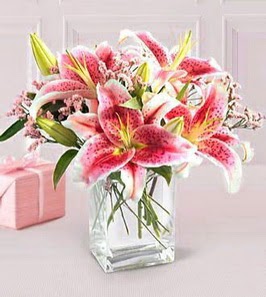 2 dal kazablanka g�rsel vazosu  Ankara K�z�lay hediye sevgilime hediye �i�ek 
