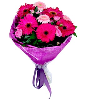  Ankara K�z�lay hediye sevgilime hediye �i�ek  kar���k gerbera �i�e�i buketi