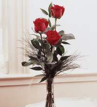  K�z�lay �i�ek online �i�ek sipari�i  Vazoda 3 adet g�zel g�l