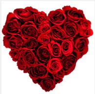  Ankara K�z�lay �i�ek yolla , �i�ek g�nder , �i�ek�i   19 adet k�rm�z� g�lden kalp tanzimi
