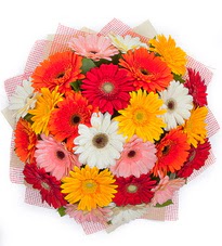 15 adet renkli gerbera buketi  Ankara Kızılay hediye çiçek yolla 