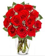 12 adet vazoda k�pk�rm�z� g�l  Ankara K�z�lay yurti�i ve yurtd��� �i�ek sipari�i 