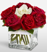 Tek a�k�ms�n �i�e�i 8 k�rm�z� 1 beyaz g�l  Ankara K�z�lay �i�ek yolla , �i�ek g�nder , �i�ek�i  
