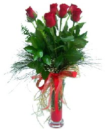 vazo i�erisinde 5 k�rm�z� g�l  K�z�lay ucuz �i�ek g�nder 