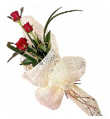 3 adet k�rm�z� g�l buketi  K�z�lay ucuz �i�ek g�nder 