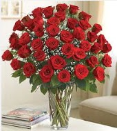 Cam vazoda 51 kırmızı gül süper indirimde  Ankara Kızılay çiçek yolla , çiçek gönder , çiçekçi   