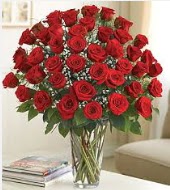 Cam vazoda 51 k�rm�z� g�l s�per indirimde  Ankara K�z�lay �i�ek yolla , �i�ek g�nder , �i�ek�i   