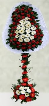 K�z�lay �i�ek online �i�ek sipari�i  �ift katl� d���n a��l�� �i�e�i