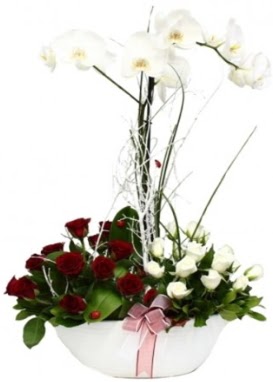 Tek dal beyaz orkide 8 beyaz 8 k�rm�z� g�l  K�z�lay cicek , cicekci 