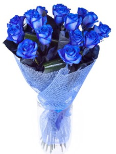 12 adet mavi g�l buketi  Ankara K�z�lay �i�ek�i telefonlar� 