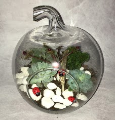 K���k terrarium elma 3 kakt�s  K�z�lay �i�ek sat��� 
