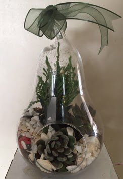 Orta boy armut terrarium 3 kakt�s  K�z�lay ucuz �i�ek g�nder 