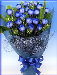 19 adet e�siz mavi g�l buketi  Ankara K�z�lay �i�ek yolla , �i�ek g�nder , �i�ek�i  