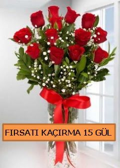  15 İthal kırmızı gül büyük başlı orjinal  Ankara Kızılay hediye sevgilime hediye çiçek 