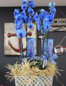 4 dall zel mavi orkide  Ankara Kzlay kaliteli taze ve ucuz iekler 