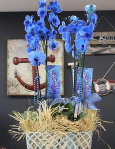 4 dall� �zel mavi orkide  Ankara K�z�lay kaliteli taze ve ucuz �i�ekler 