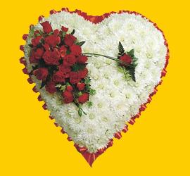 Ankara  K�z�lay �i�ek sipari�i sitesi  1.20m x 1.20m  Gerbera G�ller