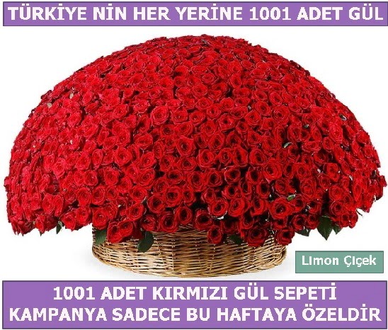 1001 Adet krmz gl Bu haftaya zel  Ankara Kzlay internetten iek sat 