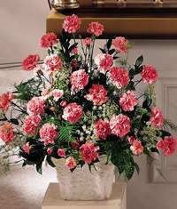  Ankara K�z�lay yurti�i ve yurtd��� �i�ek sipari�i  Minyat�r ve pembe karanfiller