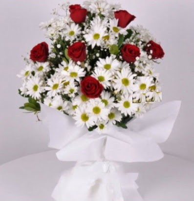 7 adet k�rm�z� g�l ve papatyalar krizantem  K�z�lay �i�ek online �i�ek sipari�i 