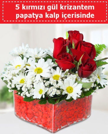 mika kalp i�erisinde 5 k�rm�z� g�l papatya  K�z�lay �i�ek sipari�i vermek 