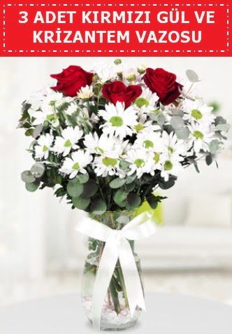 3 k�rm�z� g�l ve camda krizantem �i�ekleri  K�z�lay �i�ek sipari�i vermek 