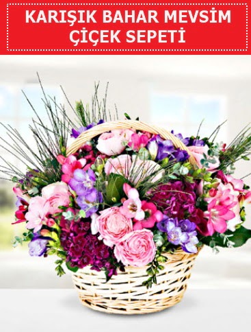 Kar���k mevsim bahar �i�ekleri  K�z�lay uluslararas� �i�ek g�nderme 