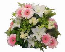  Ankara K�z�lay �i�ek , �i�ek�i , �i�ek�ilik  G�l kazablanka gerbera sepet �i�ek modeli