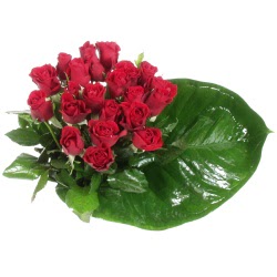  K�z�lay �i�ek g�nderme  12 adet g�l �zel bir buket