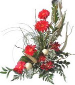  Ankara K�z�lay �i�ek , �i�ek�i , �i�ek�ilik  Kirmizi gerbera �zel tanzim