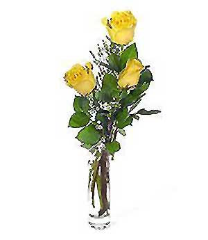  K�z�lay �i�ek ma�azas� , �i�ek�i adresleri  3 adet kalite cam yada mika vazo g�l