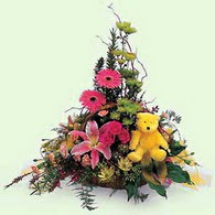  K�z�lay �i�ek g�nderme sitemiz g�venlidir  lilyum gerbera oyuncak