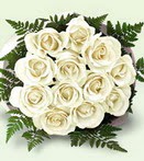  Ankara K�z�lay �i�ek yolla  12 adet beyaz g�l buket