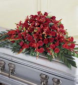 �elenk son yolculuk g�l lilyumdan  K�z�lay anneler g�n� �i�ek yolla 
